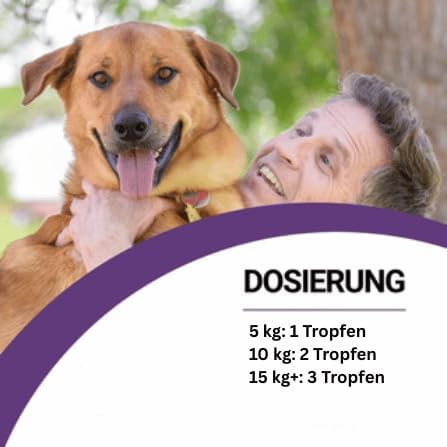 Hanfsamenöl für Hunde, Hanföltropfen, zur Beruhigung, Entspannung bei Stress, für Gelenke und Fell 1