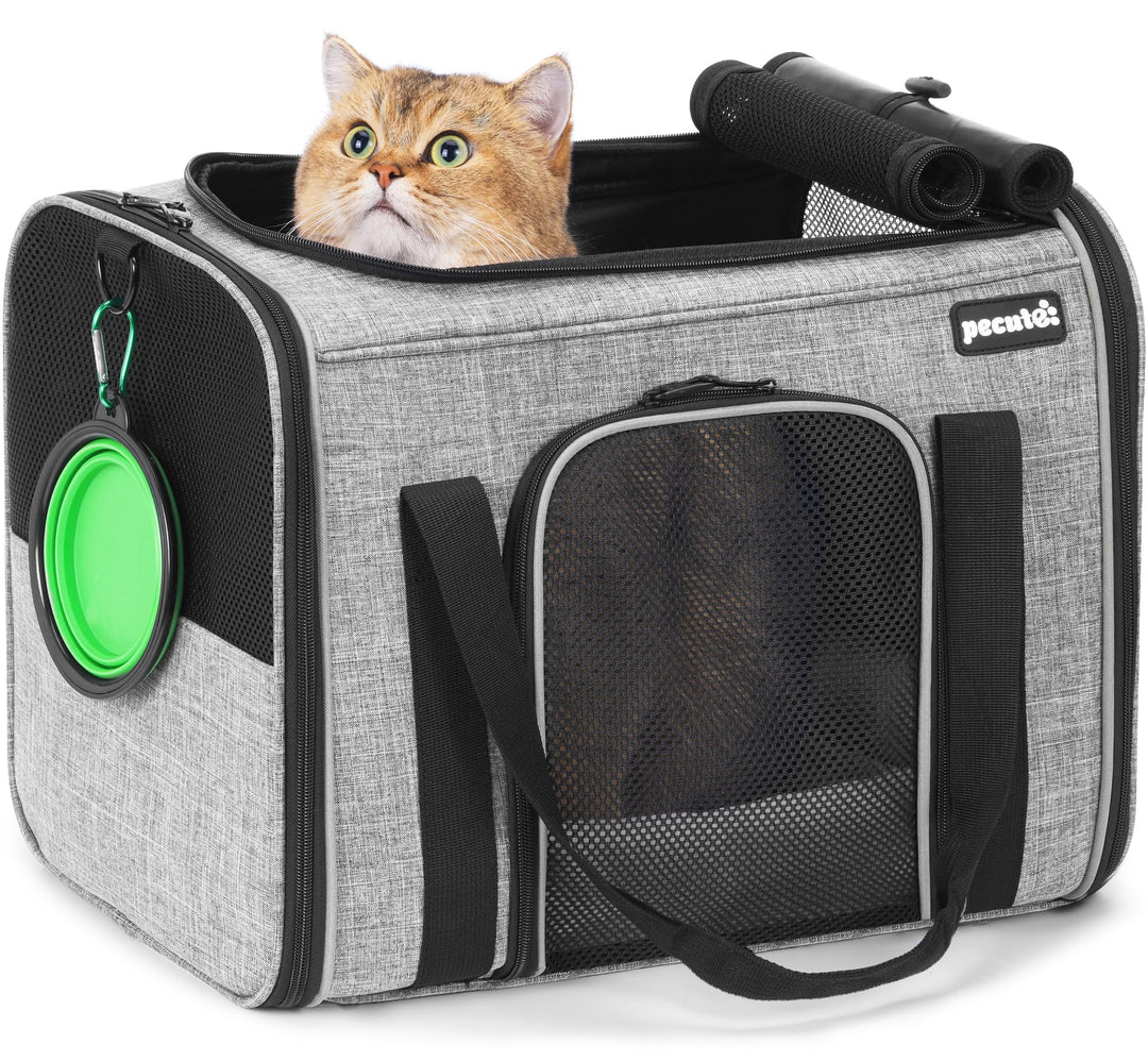 Pecute Transportbox Katze,Katzen Transportboxen mit Haustiernest, Faltbare Katzentasche Transporttas