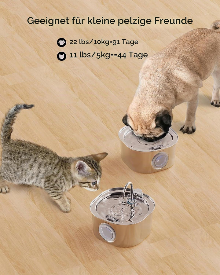 PEKTACO 3.2L Katzen Trinkbrunnen mit Sichtfenster – Edelstahl-Trinkbrunnen für drinnen, Wasserspende