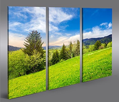 islandburner Bild Bilder auf Leinwand Wiese Bergwiese Landschaft Berge 3p XXL Poster Leinwandbild Wa