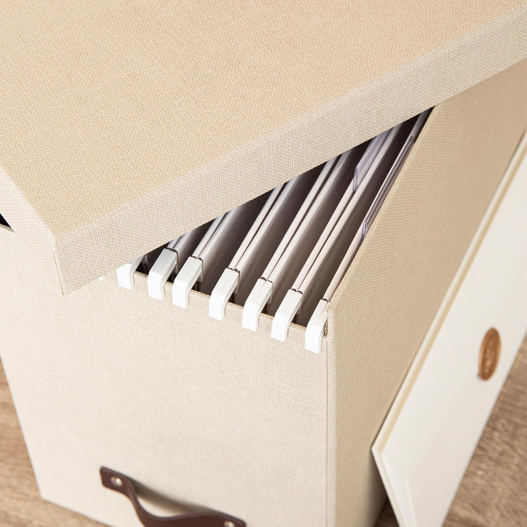 BIGSO JOHAN Hängeregisterbox A4 – Hängemappenbox mit Deckel und Griff – Schreibtischablage für Hänge
