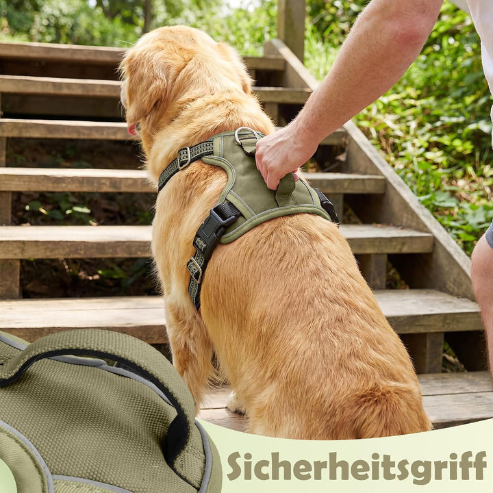 Funfox Hundegeschirr Kleine Hunde [M] - Anti Zug Welpengeschirr mit Griff &amp; Ringreflektoren, Atmungs