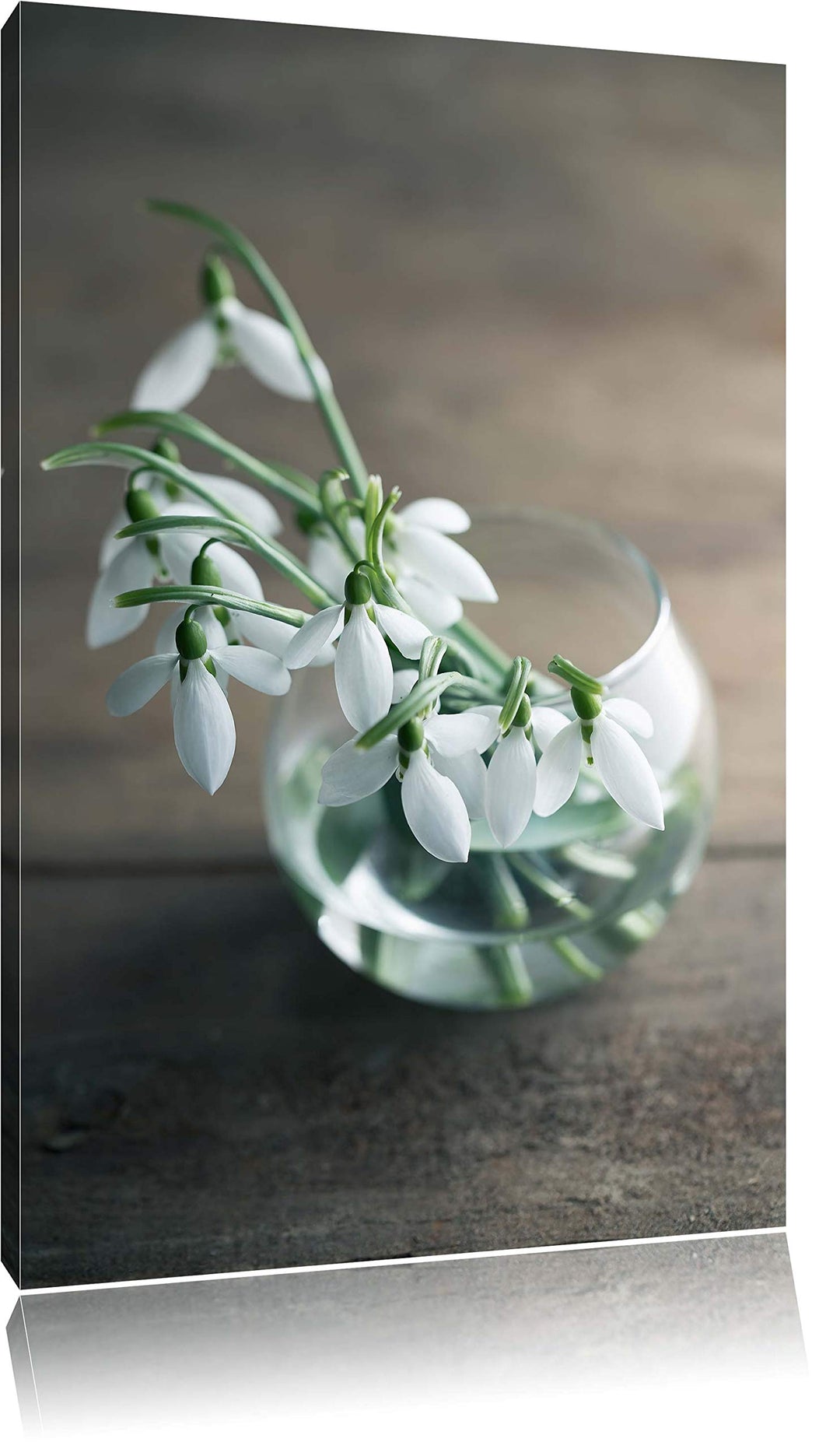Pixxprint Schneeglöckchen in der Vase als Leinwandbild/Grösse: 100x70 / Wandbild/Kunstdruck/fertig b