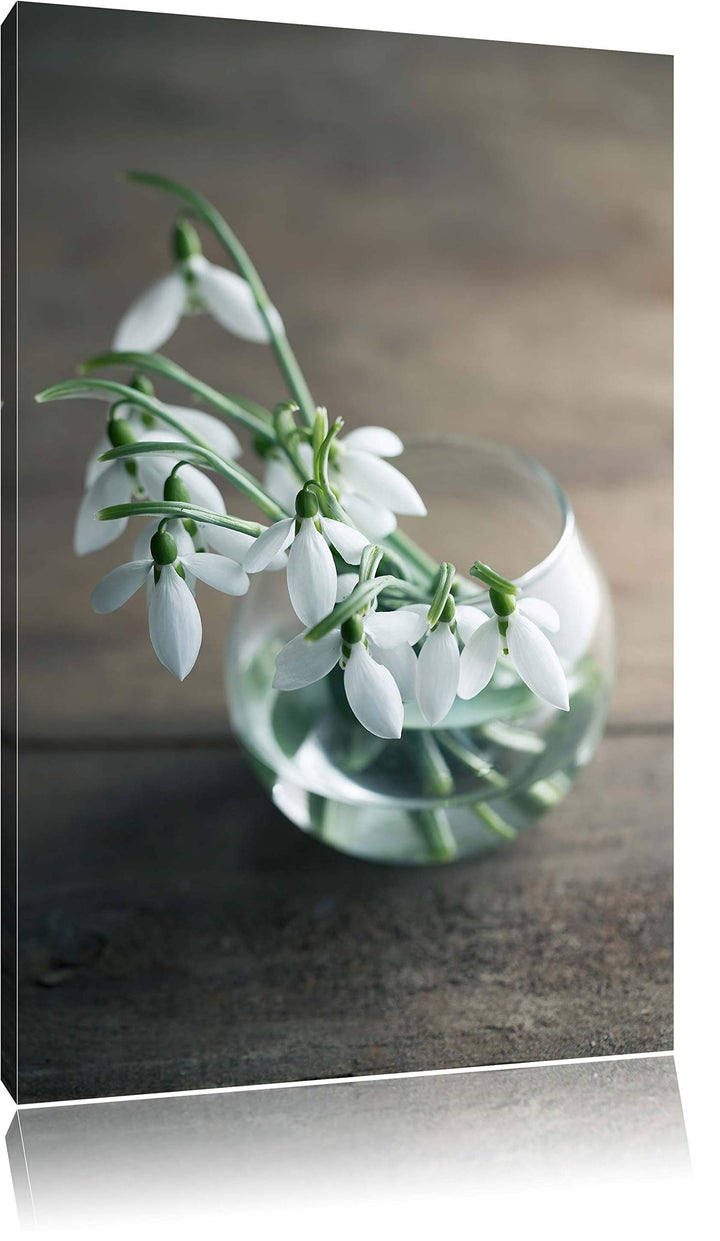 Pixxprint Schneeglöckchen in der Vase als Leinwandbild/Grösse: 100x70 / Wandbild/Kunstdruck/fertig b