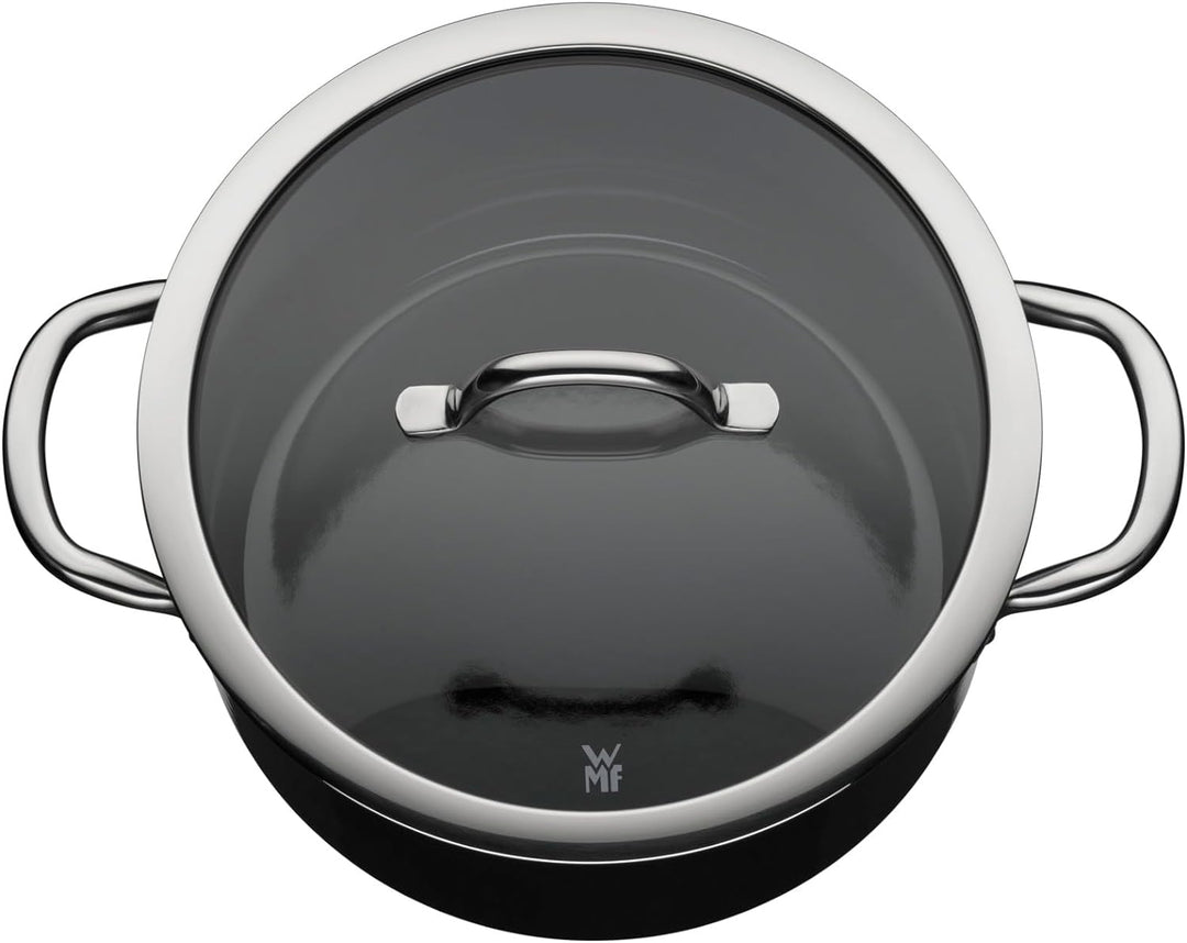 WMF Fusiontec Inspire Kochtopf gross, 24 cm, Glasdeckel, Fleischtopf Induktion, 6,4l, High-Tech Kera