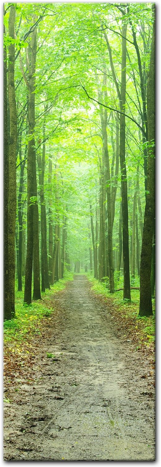 Bilderdepot24 Bild auf Leinwand | Waldweg in 40x120 cm als Panorama Wandbild XXL | Wand-deko Dekorat