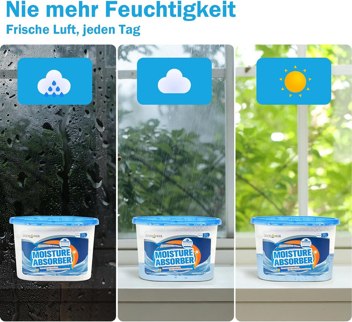 Feuchtigkeitsabsorber 6er-Pack, Schnell wirkender Luftentfeuchter mit auslaufsicherem Design, Langan