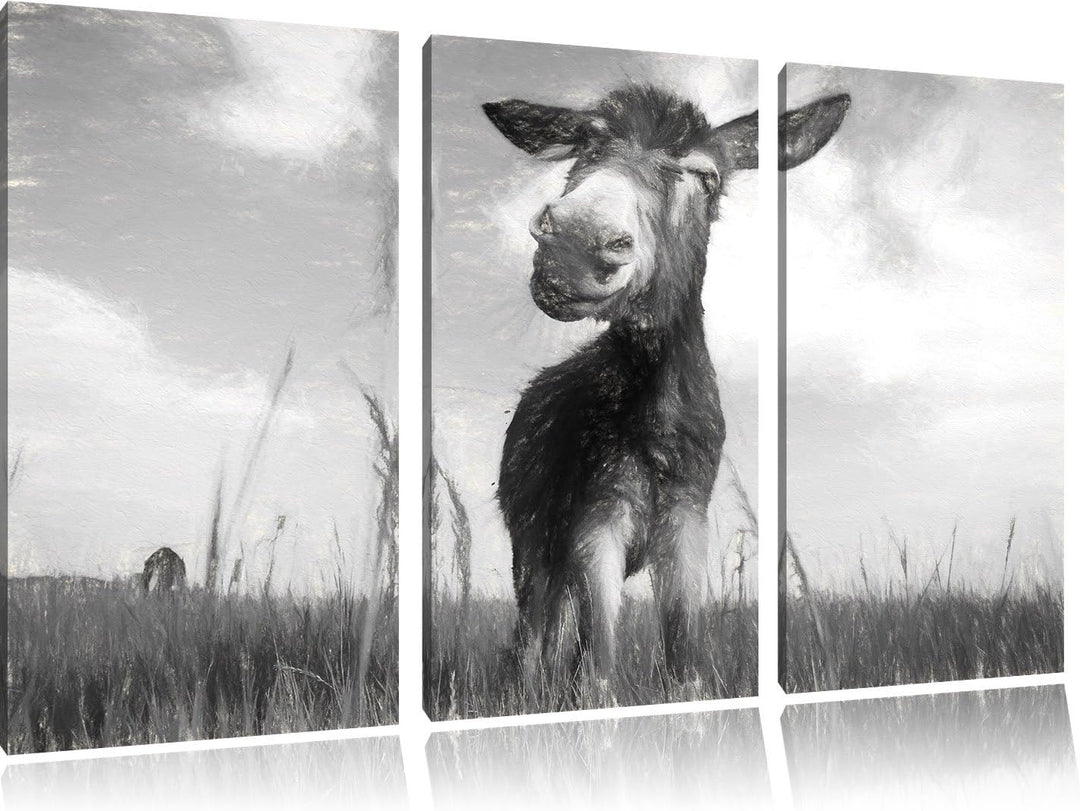 Pixxprint Esel im Feld / 3-Teilig/Gesamtmass 120cm Leinwandbild bespannt auf Holzrahmen/Wandbild Kun