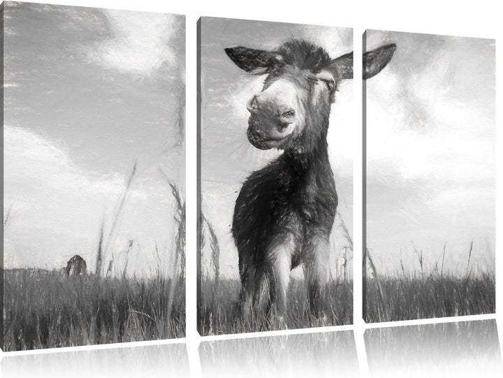 Pixxprint Esel im Feld / 3-Teilig/Gesamtmass 120cm Leinwandbild bespannt auf Holzrahmen/Wandbild Kun