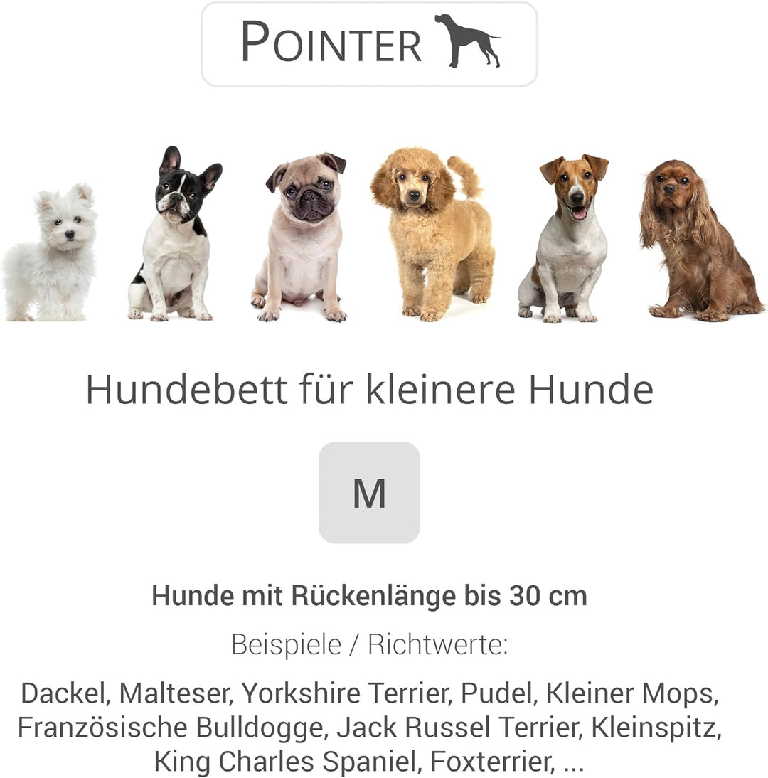 Doctor Bark Pointer | Hundebett mit Hundekissen - orthopädisch, waschbar, bequem (M - 70x60 cm, Beig