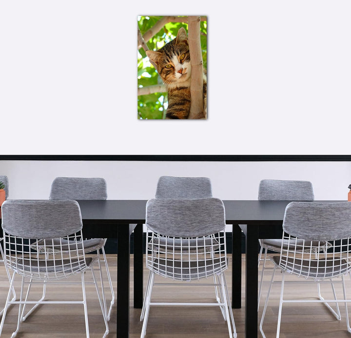 Printed Paintings Leinwand (60x80cm): Katze auf Baum süss Katzenbaby Katzenbilder 60x80 cm, 60x80 cm