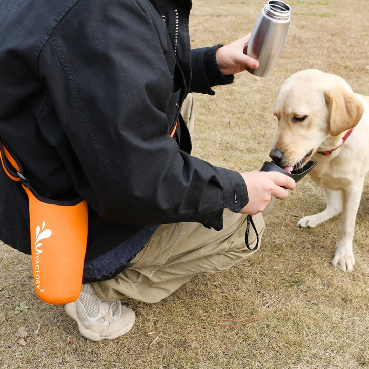 VIVAGLORY hundetrinkflasche & wasserflaschenhalter mit Schultergurt-Kombi, Hunde Trinkflasche & Wass