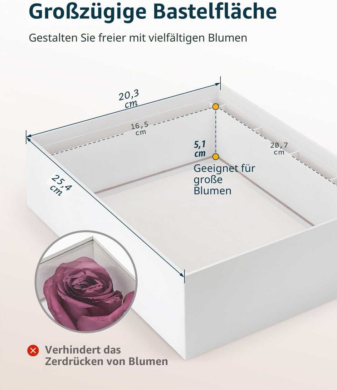 Wisedry 3D Schattenbox 25,4 x 20,3 cm Bilderrahmen Deep Box Display Fotorahmen für getrocknete Blume