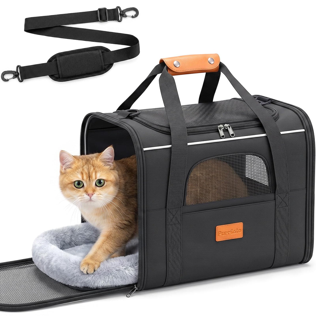 Katzentransporttasche faltbar bis 10 kg – Stabile Transportbox für Katzen &amp; kleine Hunde mit Stahlra