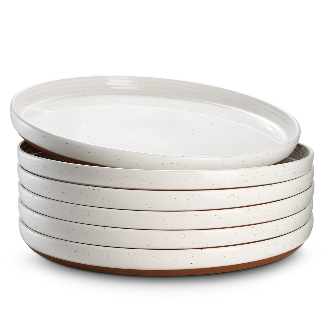 DOWAN Steingut Dinner Teller Set, 10 Inch Dessert Plates 6 Stück Tellerset Keramik, 26cm Serviertell