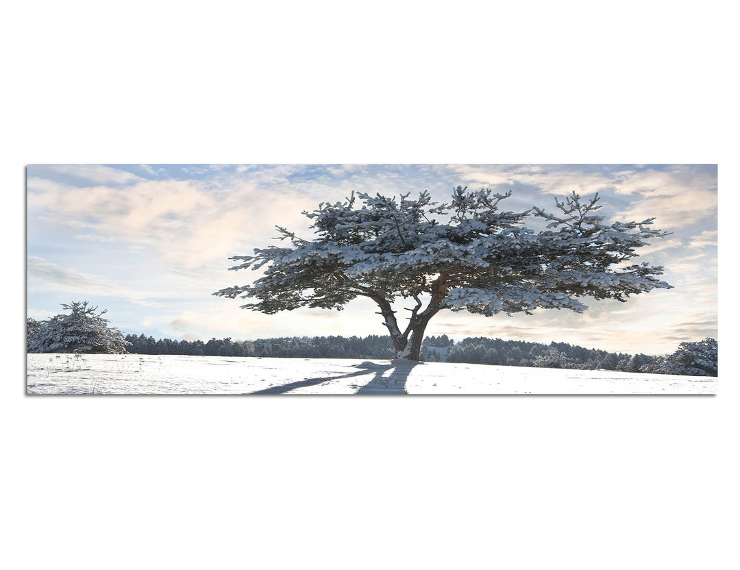 Paul Sinus Art Panoramabild auf Leinwand und Keilrahmen 150x50cm Baum Schatten Schnee Winter Wolkens