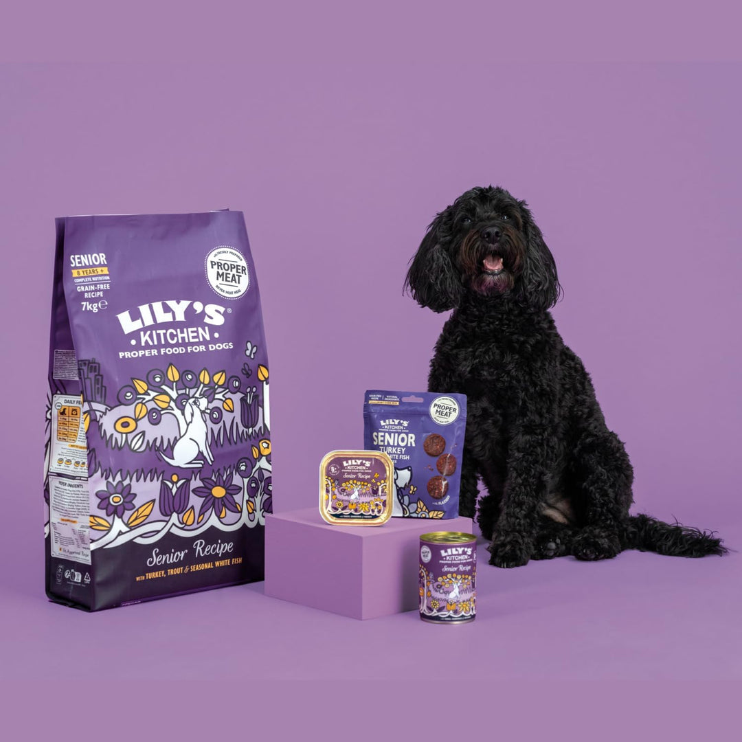 Lily's Kitchen Lachs und Forelle - Complete Natural getreidefreies Trockenfutter für ältere Hunde (7