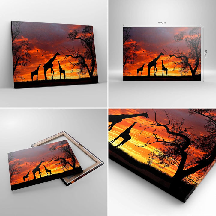 Bilder auf Leinwand Giraffe Afrika Sonne Safari Leinwandbild 70x50cm Wandbilder Dekoration Wohnzimme