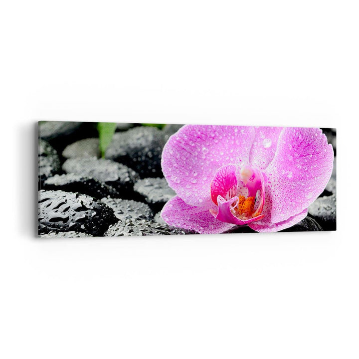 Panorama Bilder auf Leinwand Asien bambus schönheit kultur Leinwandbild 90x30cm Wandbilder Dekoratio