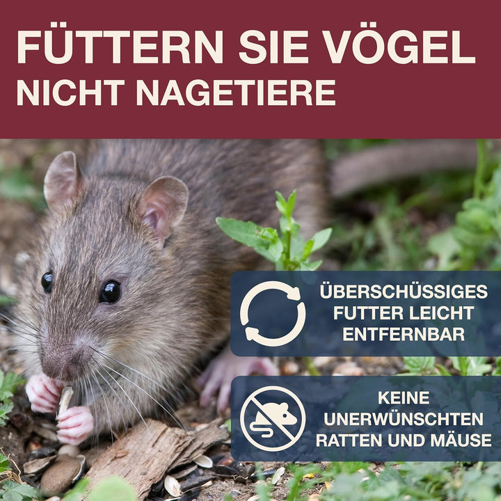 SWISSINNO Vogelfutterhaus zum Aufhängen – Lucerne SMART Birds - Meisenknödelhalter mit Auffangschale