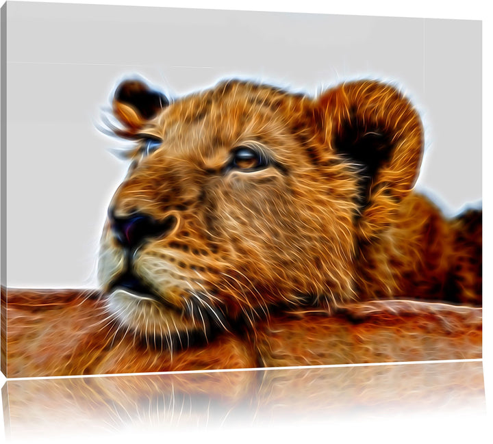 junger Löwe schläft Deluxe Format: 100x70 cm auf Leinwand, XXL riesige Bilder fertig gerahmt mit Kei