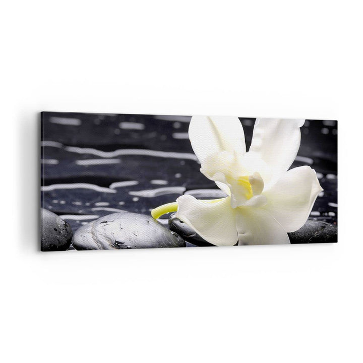 Wandbilder Dekoration Wohnzimmer Spa Orchidee Steine Wasser Panorama Bilder auf Leinwand 120x50cm Le
