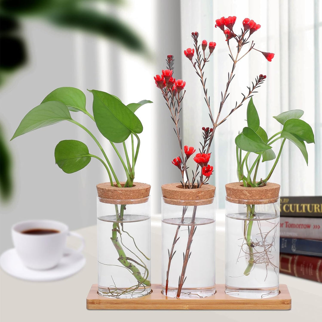 Fentar Ableger Pflanzen Glas, Propagation Station mit Holzsockel und Stecker, 3Stk Kleine Vasen für
