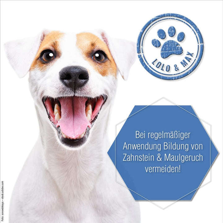 Lolo &amp; Max natürliche Zahnpflege für Hund &amp; Katze - DentaCare Trinkwasserzusatz zur Zahnreinigung fü