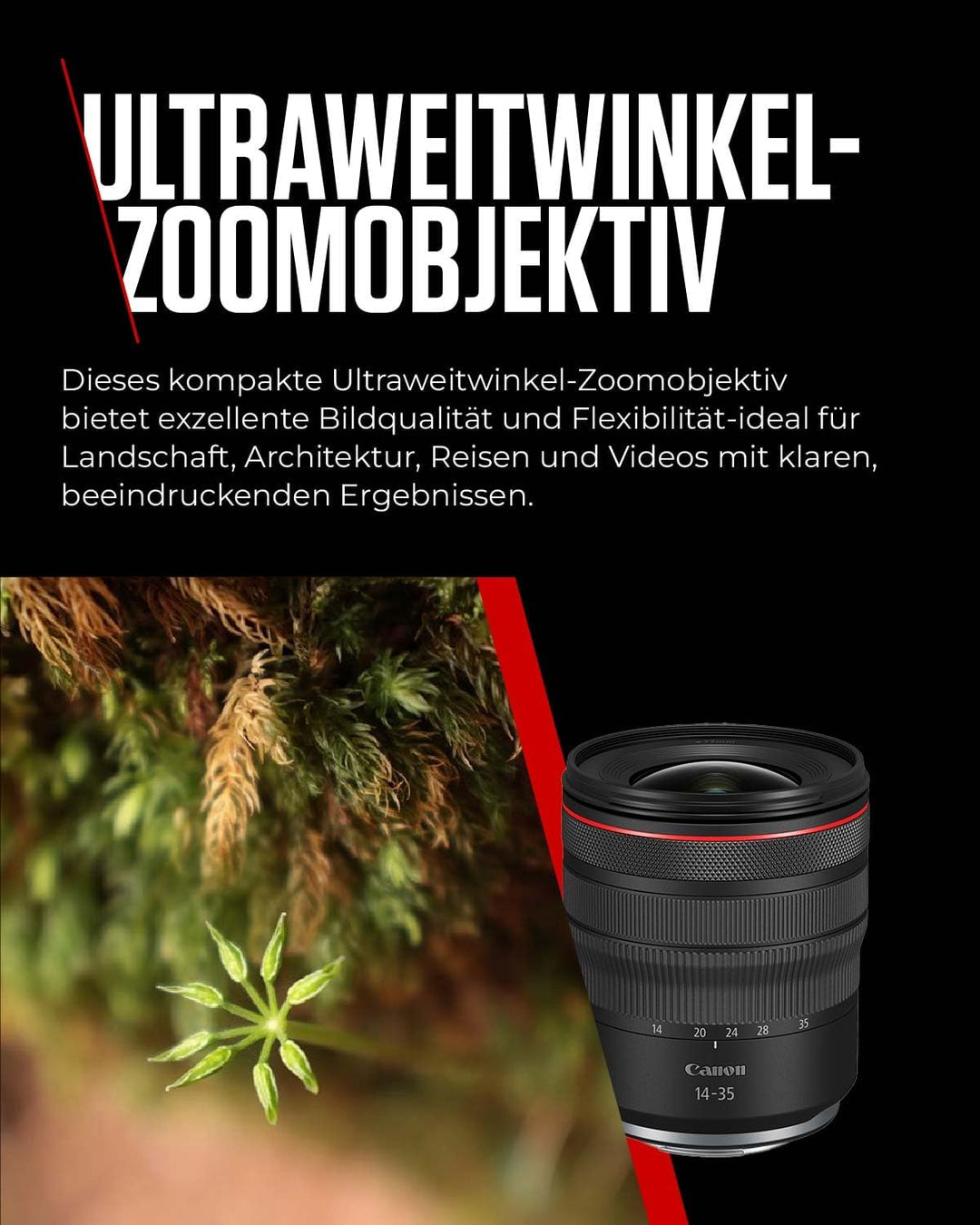 Canon Objektiv RF 14-35mm F4 L is USM Makroobjektiv (2,5 x Zoom, Nano USM AF, Ultra Weitwinkel, 5 St