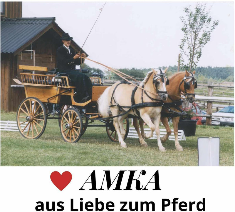 AMKA Bogenpeitsche Fahrpeitsche 120 cm für Horsemanship Bodenarbeit Fahrsport diverse Farben gummier