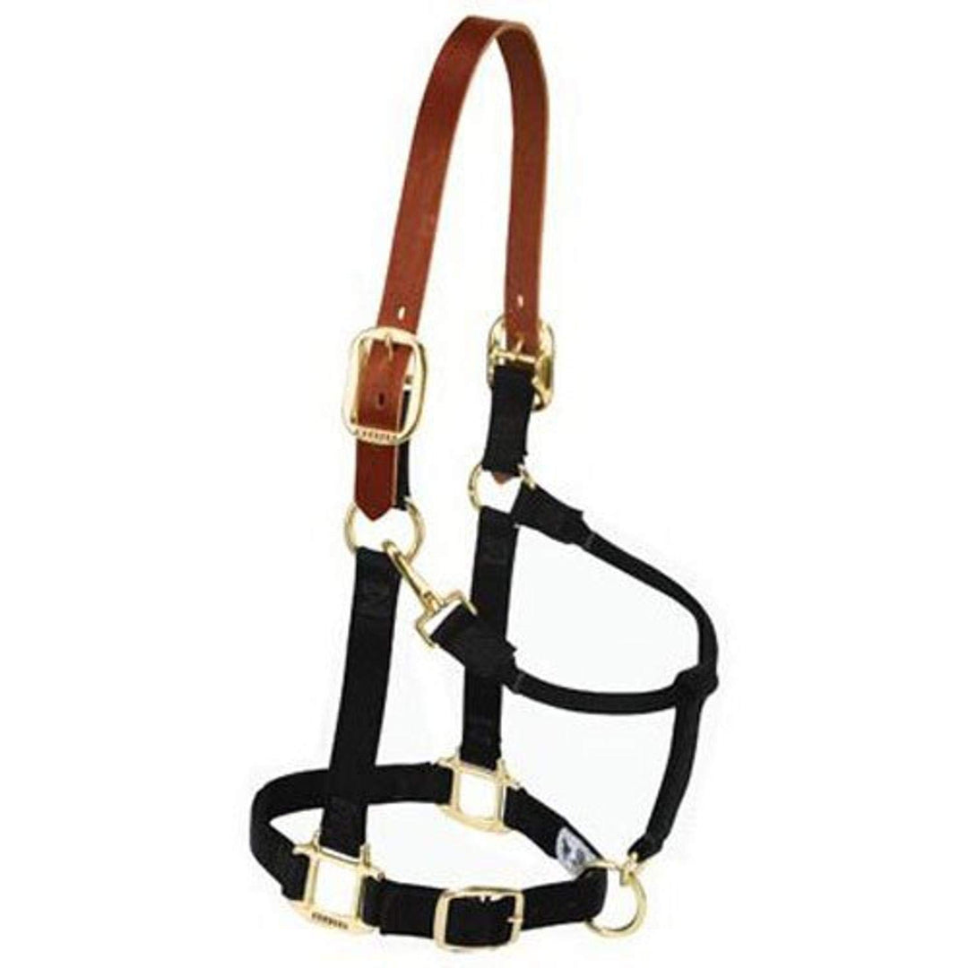 Weaver Leather Original verstellbares Nylonhalfter für Pferde Small Horse Schwarz, Small Horse Schwa