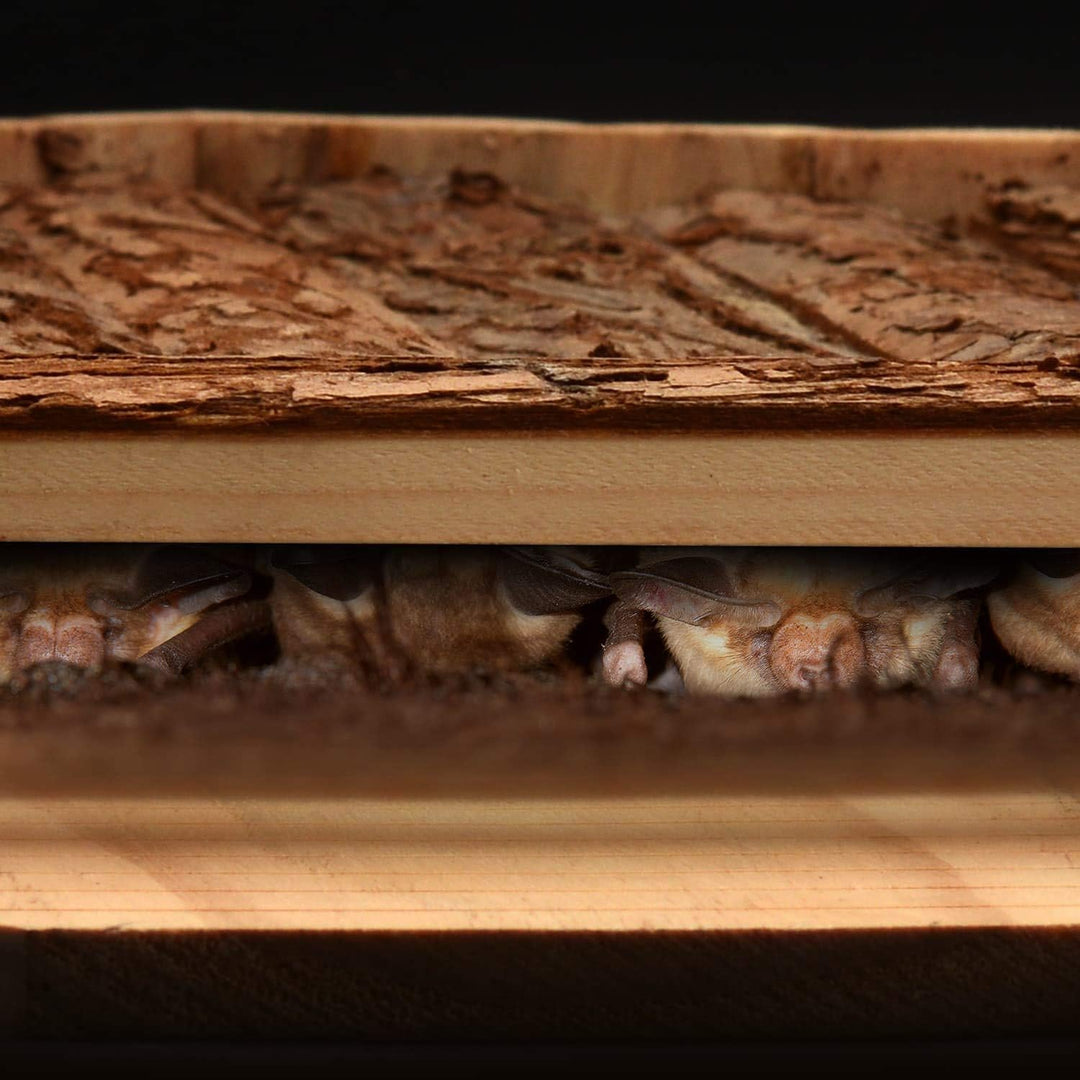 CKB LTD Fledermaus-Haus aus Holz, für den Aussenbereich, für den Aussenbereich, auch für Überwinteru