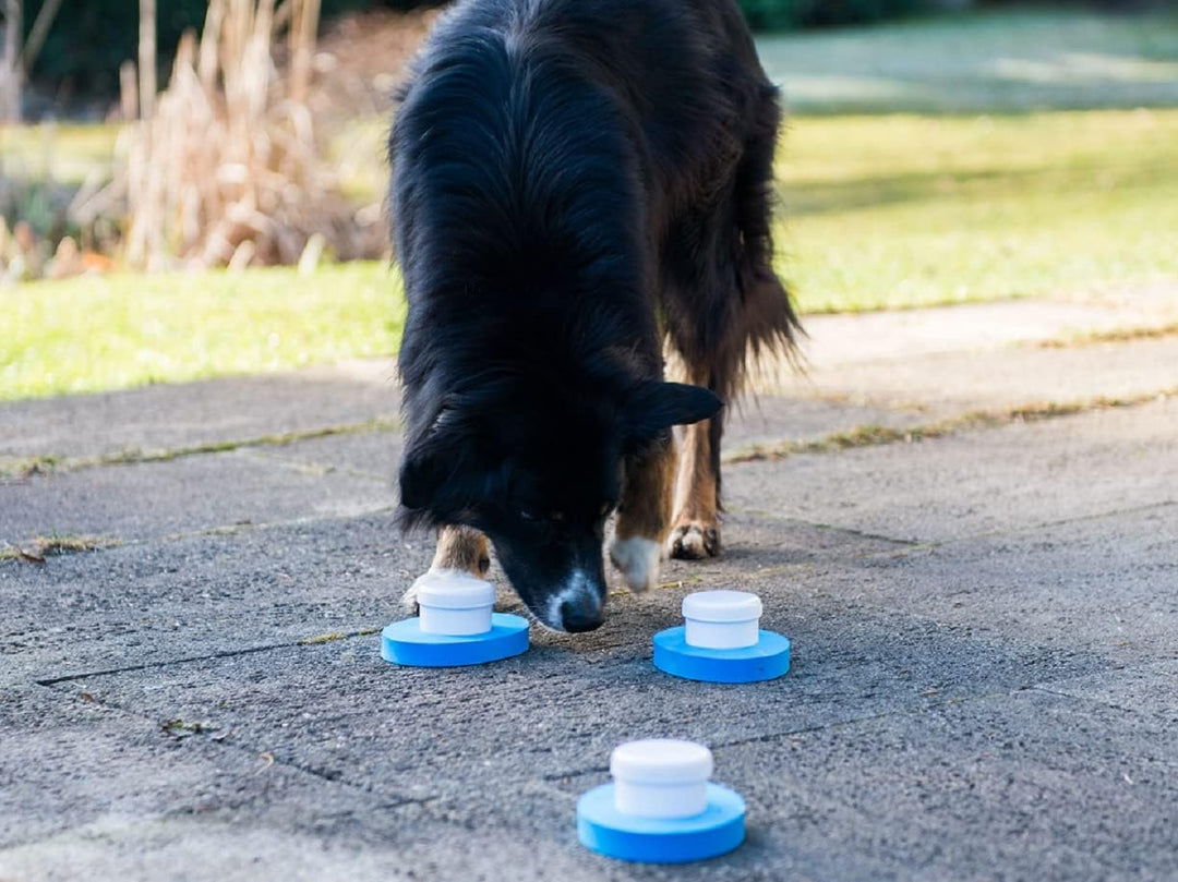 Lemodo Fährtensuche für Hunde, Schnüffelspass, Fährtensuchtraining, Hundetraining 3 Stück, 3 Stück