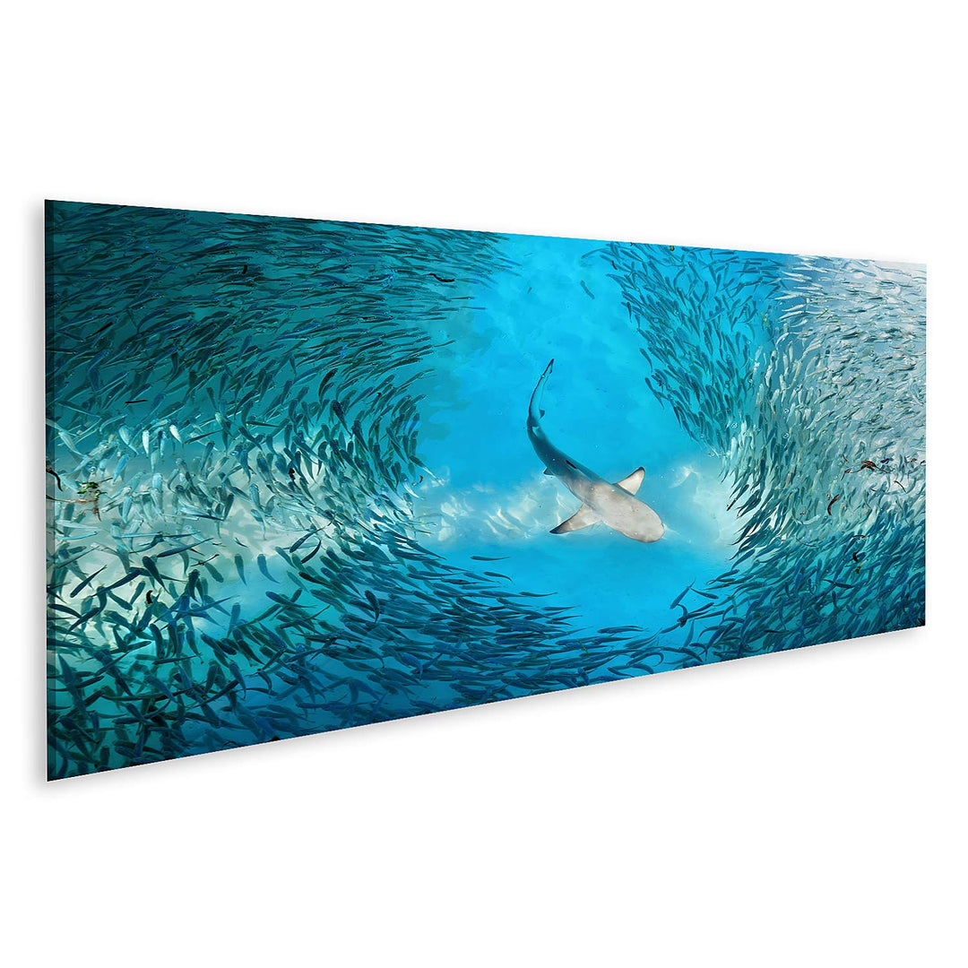 islandburner Bild auf Leinwand Hai Und Kleine Fische Im Ozean Bilder Wandbilder Poster Leinwand 120x
