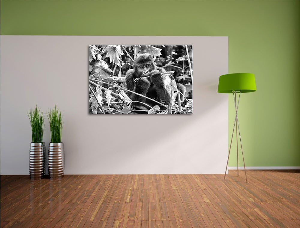 Pixxprint Gorilla beim Fressen als Leinwandbild/Grösse: 100x70 / Wandbild/Kunstdruck/fertig bespannt