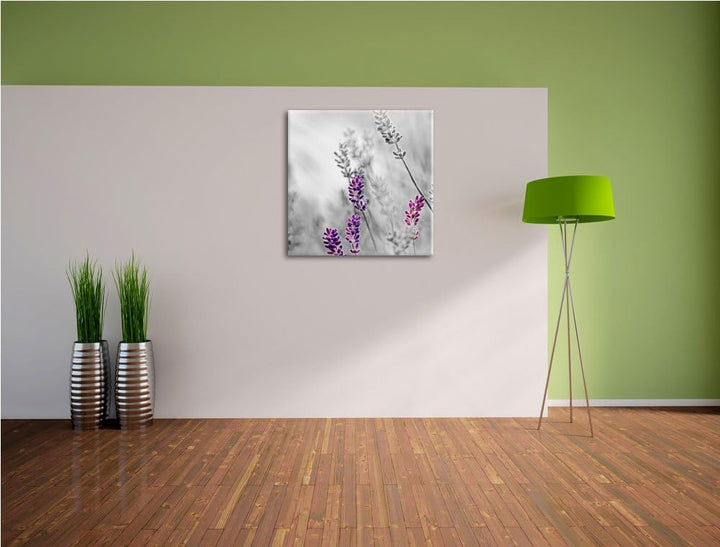 Pixxprint schöner Lavendel als Leinwandbild Quadratisch/Grösse: 70x70 / Wandbild/Kunstdruck/fertig b