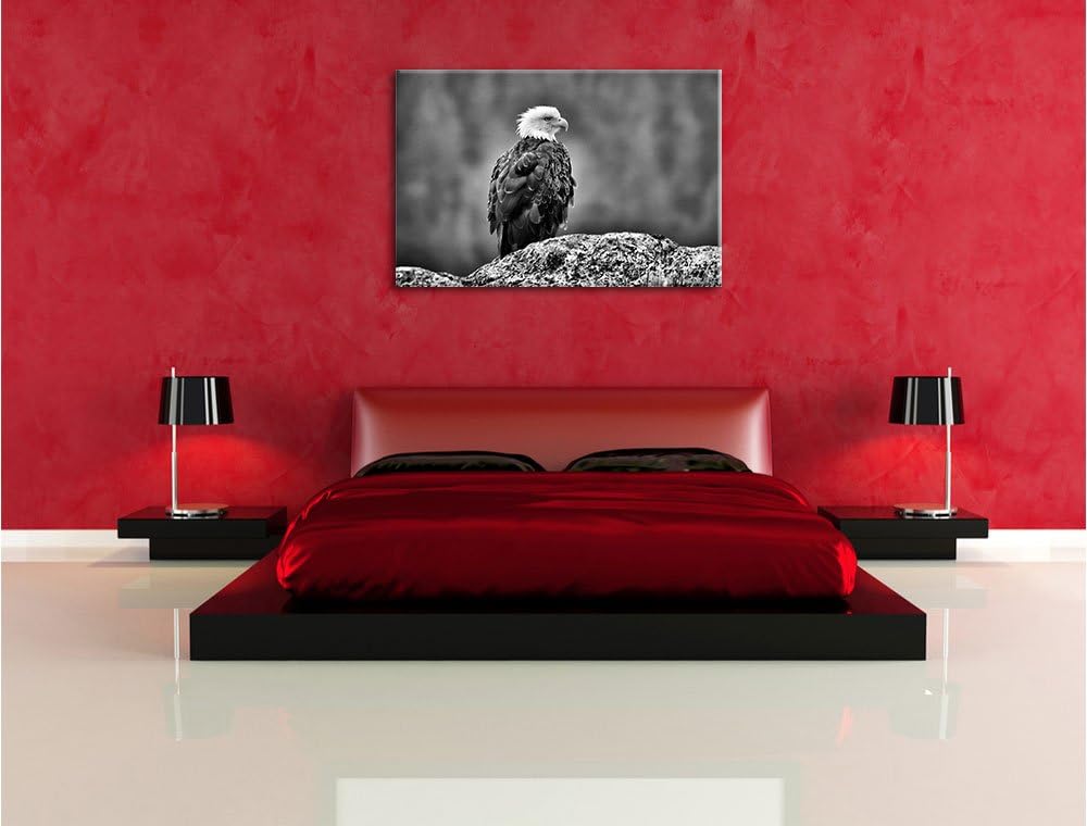Pixxprint Monocrome, wachsamer Adler auf Fels, Format: 100x70 auf Leinwand, 100x70