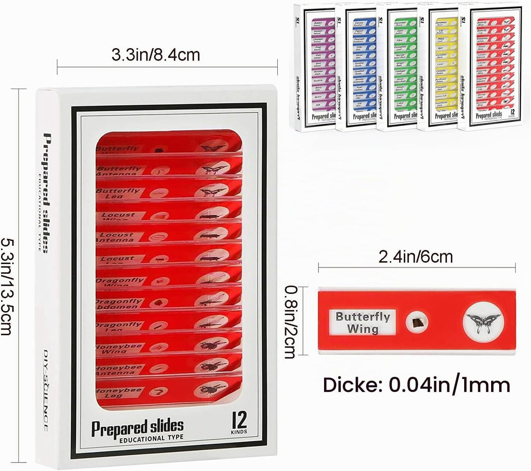 Ninyoon 60pcs Mikroskop Objektträger mit Proben für Kinder - Kinder präpariert Mikroskop Objektträge