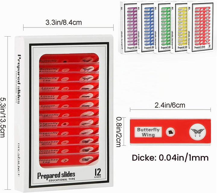 Ninyoon 60pcs Mikroskop Objektträger mit Proben für Kinder - Kinder präpariert Mikroskop Objektträge