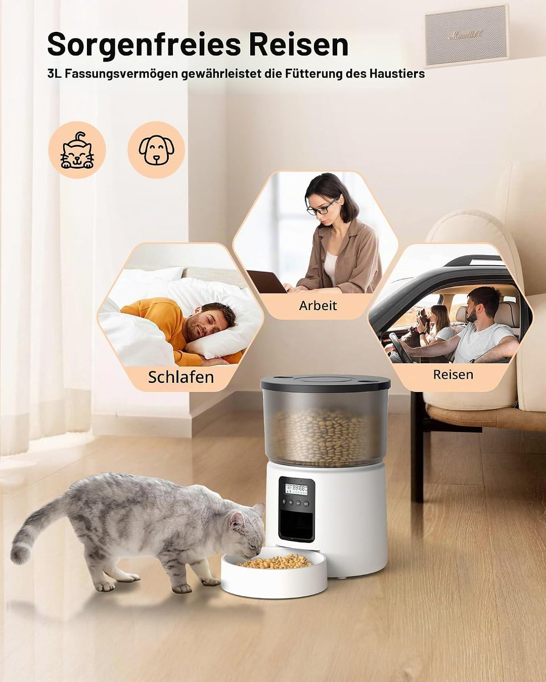 BEMOONY Futterautomat Katze, Katzenfutter Automat mit Programmierbarem Timer, 1-6 Mahlzeiten pro Tag