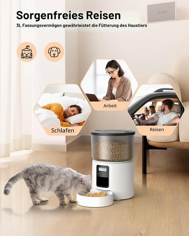 BEMOONY Futterautomat Katze, Katzenfutter Automat mit Programmierbarem Timer, 1-6 Mahlzeiten pro Tag