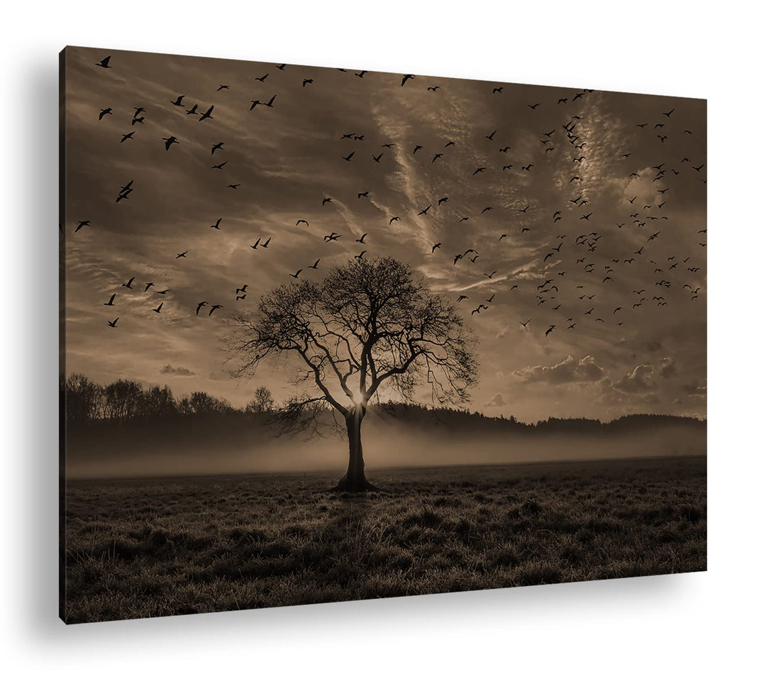 deyoli einsamer Baum Format: 80x60 Effekt: Sepia als Leinwandbild, Motiv fertig gerahmt auf Echtholz