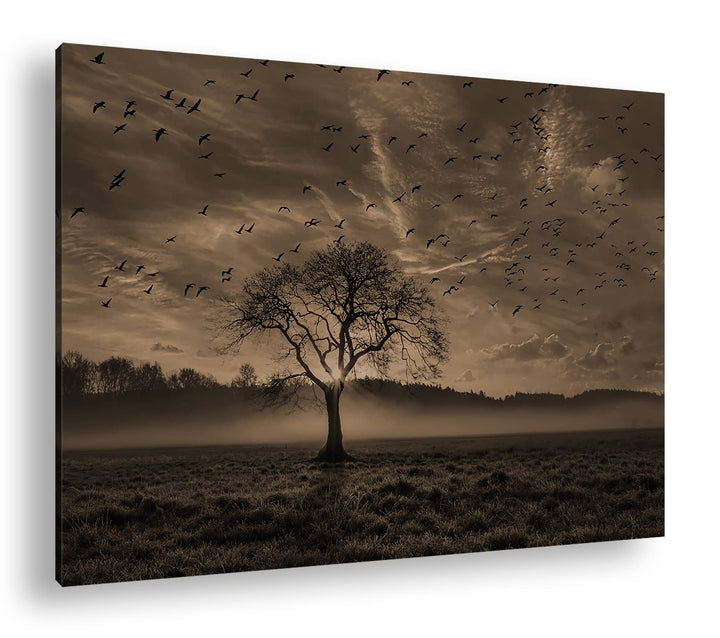 deyoli einsamer Baum Format: 80x60 Effekt: Sepia als Leinwandbild, Motiv fertig gerahmt auf Echtholz