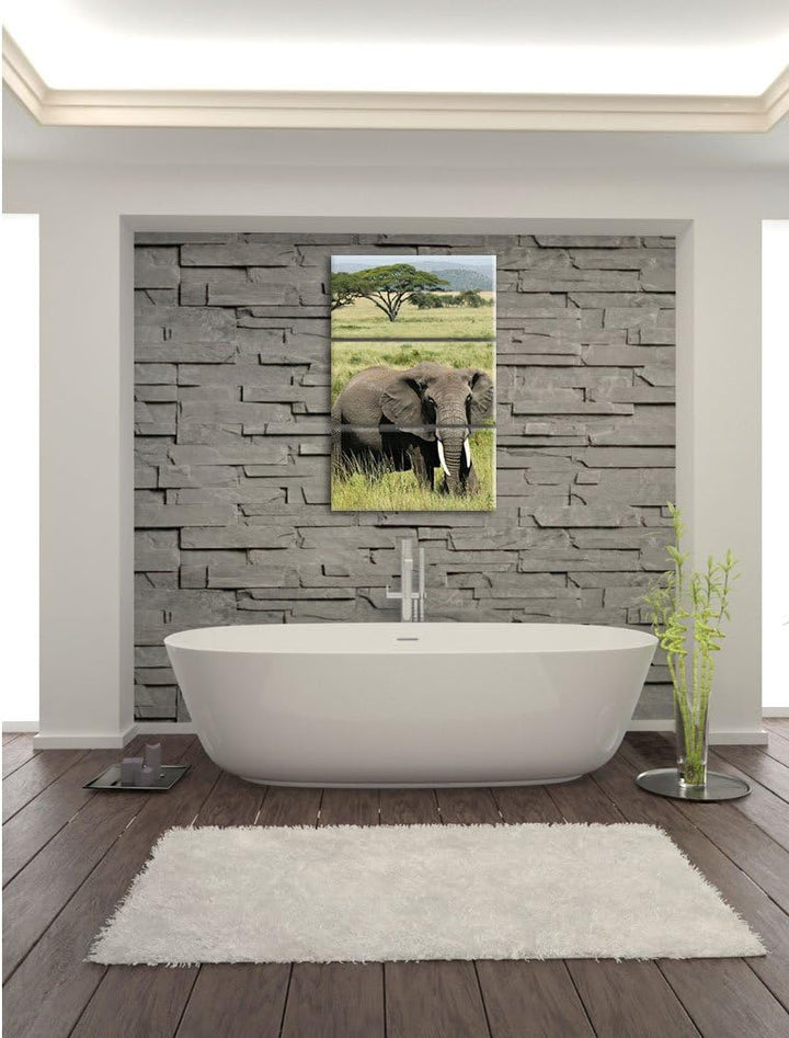 Pixxprint Elefant in der Savanne als Leinwandbild/Grösse: 3 Teilig (120x80) cm/Wandbild/Kunstdruck/f