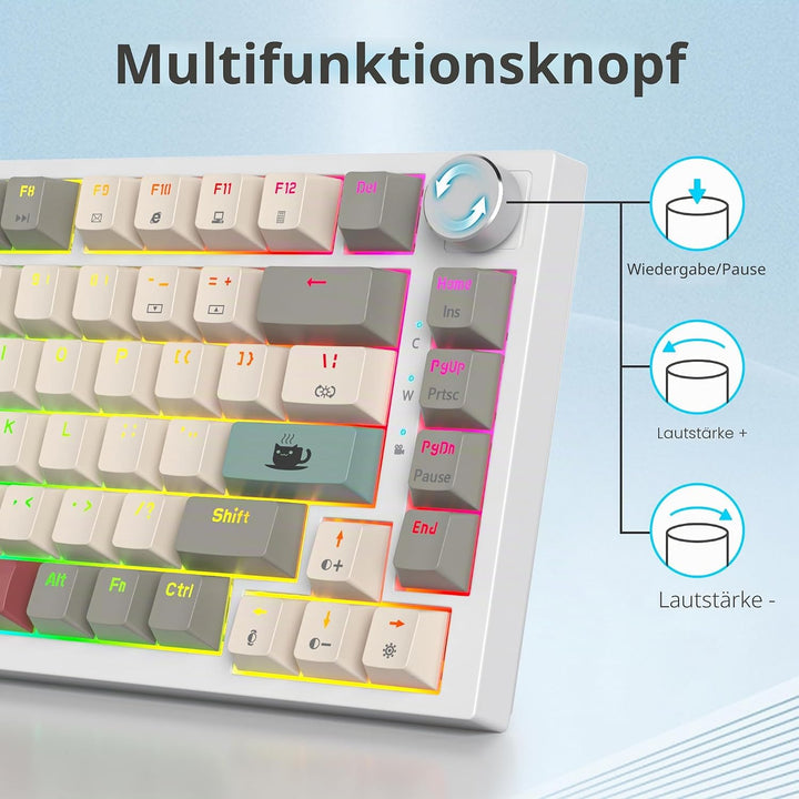 SOLIDEE Verkabelte Mechanische Gaming Tastatur 75 Prozent,hot-swap-fähige Mechanische Tastatur mit G