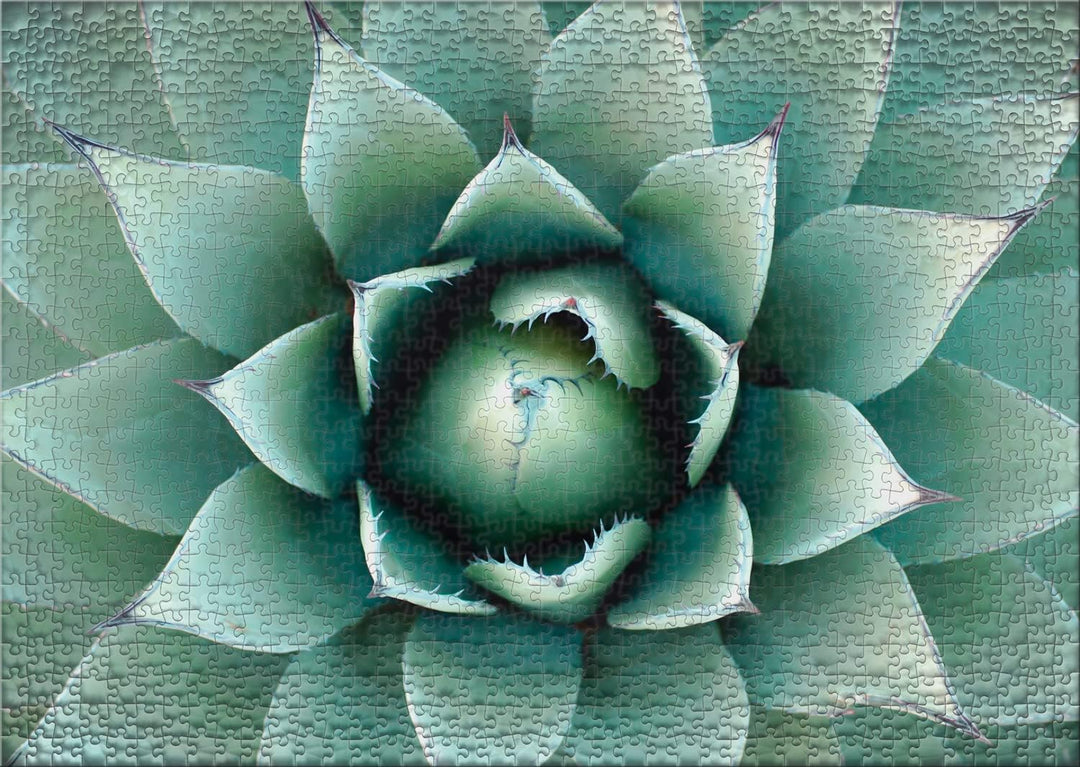 Ulmer Puzzleschmiede - Puzzle Agave - Anspruchsvolles Pflanzen-Motiv als 1000 Teile Puzzle - Makro-A