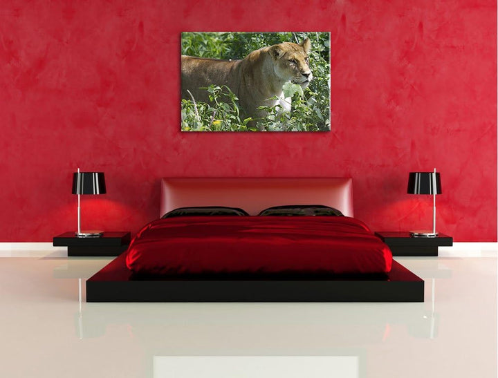 Pixxprint wachsame Löwin Leinwand, XXL riesige Bilder fertig gerahmt mit Keilrahmen, Kunstdruck auf