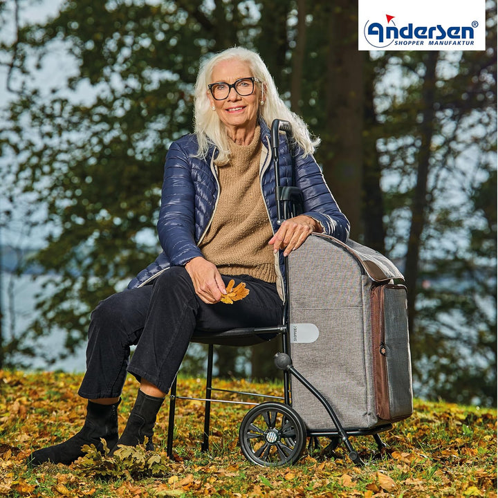 ANDERSEN Einkaufstrolley - Komfort Shopper Holk grau | mit Sitz, klappbar, aus Stahl, bis 50 kg - Ta