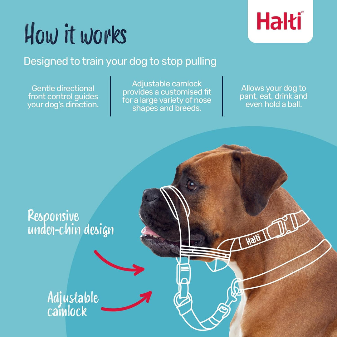 Halti Optifit Halfter und Trainingsleine Kombipack, Stop Dog Pulling on Walks with Halti, Inklusive