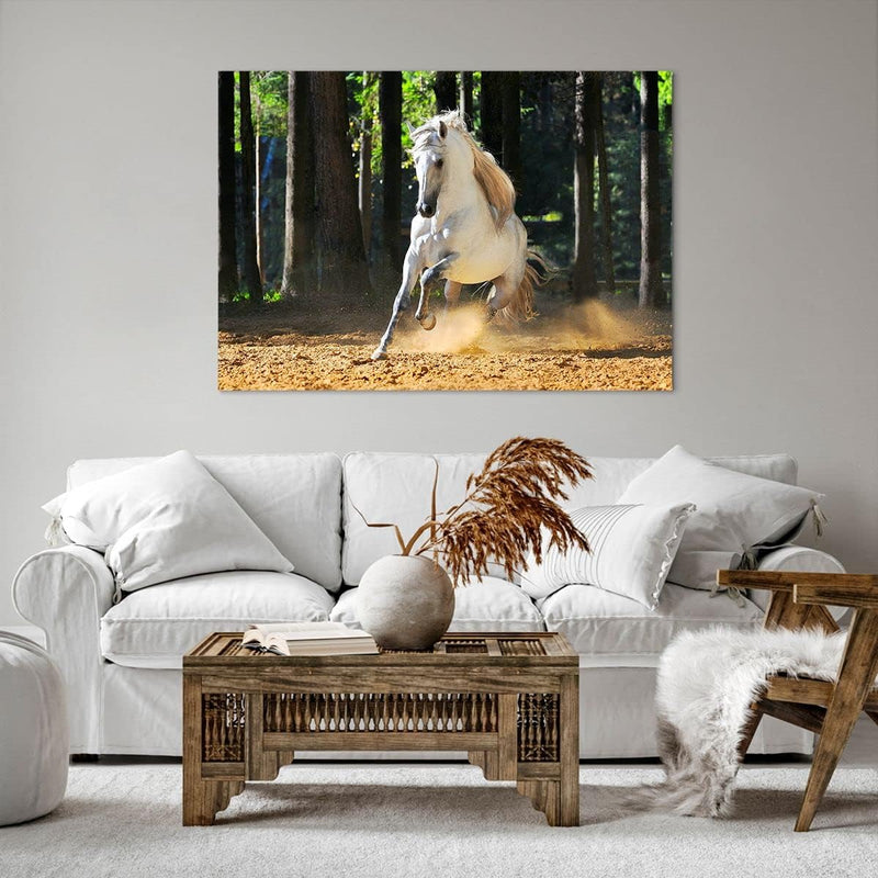 Bilder auf Leinwand 100x70cm Leinwandbild Staub Emotionen Pferd Natur Gross Wanddeko Bild Schlafzimm